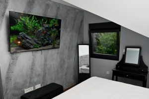 PHOTO-2024-06-27-11-56-54 (2)